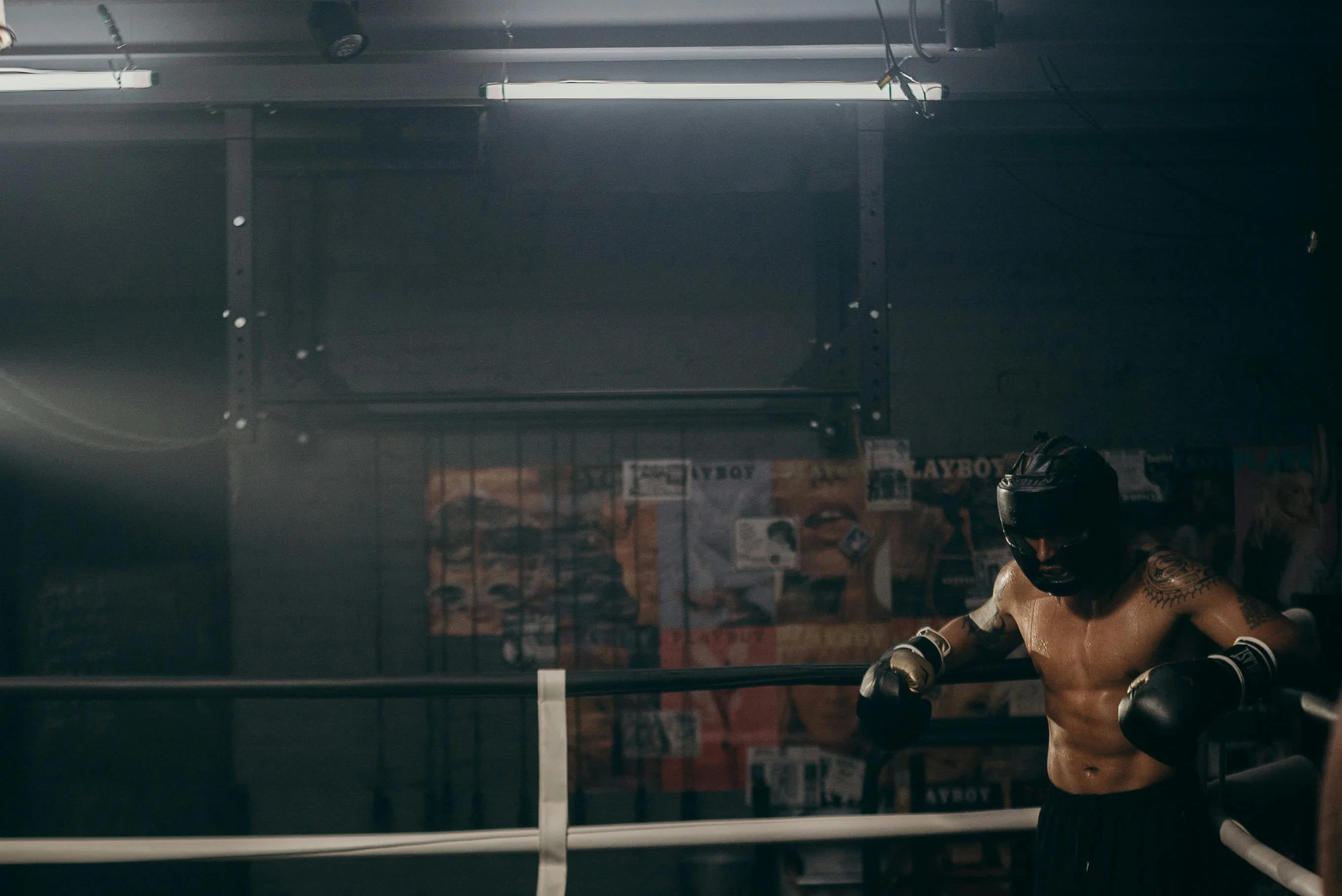 Boxer training with gloves and gear